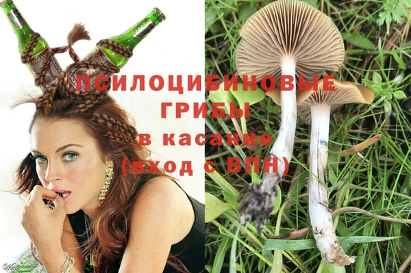 таблы Белокуриха