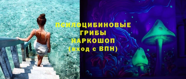 таблы Белокуриха